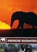 Safari: Indische Elefanten
