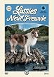 Lassies neue Freunde - Box 2