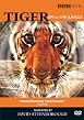 Tiger - Spy In The Jungle