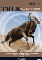 Trek - Spy On The Wilderbeest