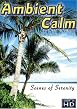 Ambient Calm - Ultimate Relaxation