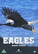 Wildlife Paradise - Eagles