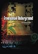 Transglobal Underground