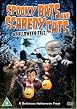 Spooky Bats And Scaredy Cats