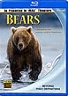 IMAX - Bears