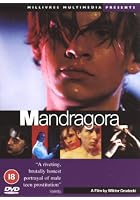 Mandragora