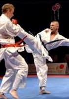 The Very Best Of Karate Clashes