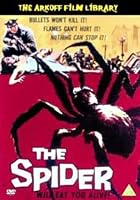 The Spider