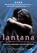 Lantana