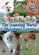 Amazing World Of Animal Lovers