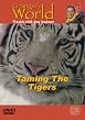 Taming The Tigers