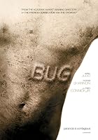 Bug