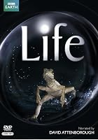 Life