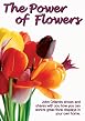 The Power Of Flowers