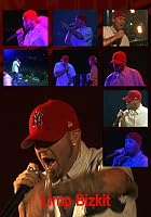 Limp Bizkit - Rock in the Park 2001