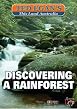 Discovering A Rainforest