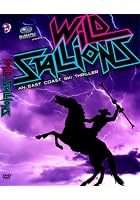 Wild Stallions