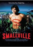 Smallville - The Complete Season 9
