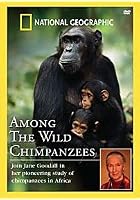 National Geographic - Jane Goodall - Among The Wild Chimpanzees