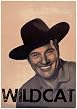 Wildcat