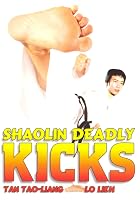 Shaolin Deadly Kicks