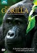 Mountain Gorilla