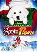 Santa Paws