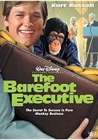 The Barefoot Executive
