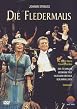 Die Fledermaus