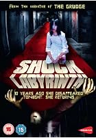 Shock Labyrinth