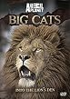 Discovery Channel - Big Cats - Into The Lions Den