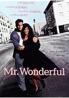 Mr. Wonderful