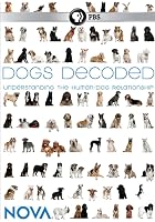 Dogs Decoded