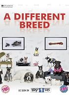 A Different Breed