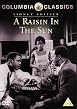 A Raisin In The Sun