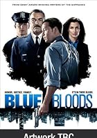 Blue Bloods - Series 1