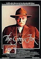 The Grey Fox