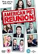 American Pie - Reunion