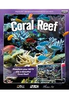 Plasma Art - The Coral Reef