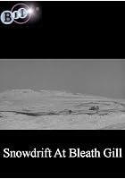 Snowdrift at Bleath Gill
