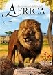 Fascination Africa