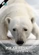 Polar Bear - Spy on the Ice