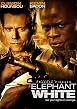 Elephant White