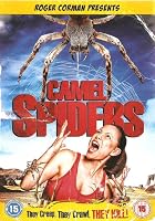 Camel Spiders