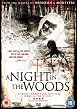 A Night In The Woods