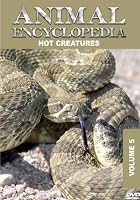 Animal Encyclopedia Vol 5 - Hot Creatures