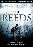 The Reeds
