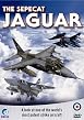 The Sepecat Jaguar