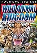 Wild Animal Kingdom - From Cute To Killer