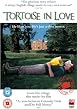 Tortoise in Love